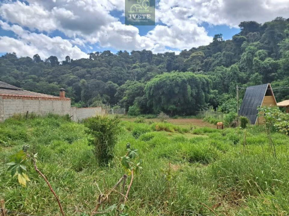 Imagem Terreno à Venda, 2.019 m²