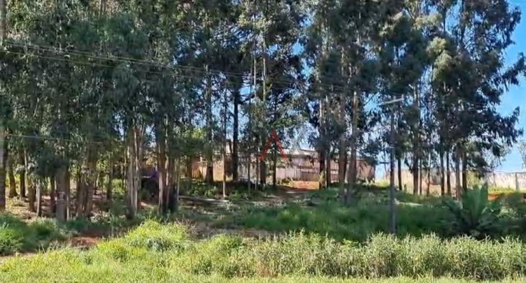 Imagem Terreno à Venda,  em Boqueirão - Guarapuava