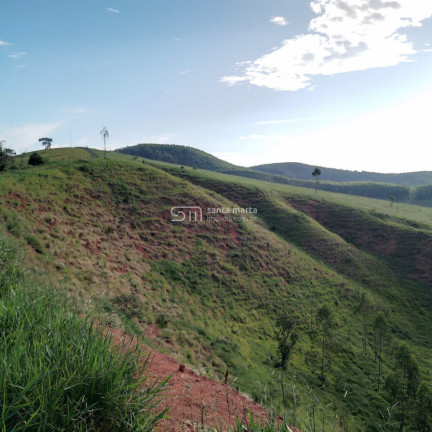 Imagem Imóvel com 2 Quartos à Venda, 266.000 m² em Branco - Lavrinhas