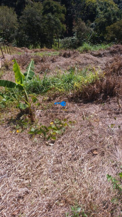 Imagem Terreno à Venda, 165 m² em Parque Sinai - Santana De Parnaíba Imagem Terreno à Venda, 165 m² em Parque Sinai - Santana De Parnaíba