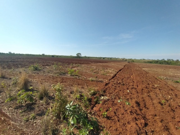 Imagem Imóvel à Venda, 314 m² em área Rural De Querência - Querência