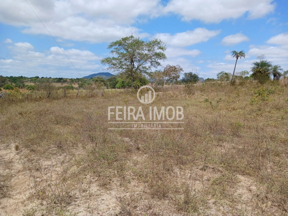Imagem Terreno à Venda, 13.750 m² em Centro - Feira De Santana Imagem Terreno à Venda, 13.750 m² em Centro - Feira De Santana
