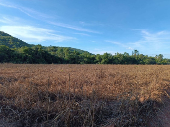 Fazenda à Venda, 33 m² em Zona Rural - Piranhas
