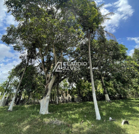 Imagem Chácara com 2 Quartos à Venda, 4.300 m² em Br 101 - Conceição Do Jacuípe