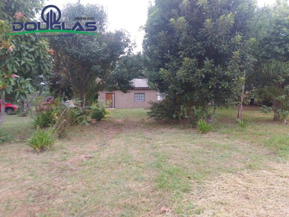 Imagem Chácara à Venda, 20.000 m² em Viamão Imagem Chácara à Venda, 20.000 m² em Viamão