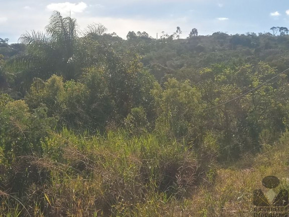 Imagem Imóvel à Venda, 20.000 m² em Fazendinhas Quintas Do Ouro - Caeté Imagem Imóvel à Venda, 20.000 m² em Fazendinhas Quintas Do Ouro - Caeté