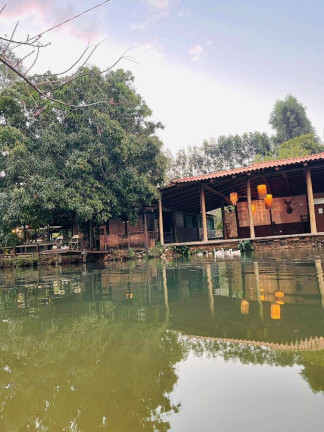 Fazenda à Venda, 1 m² em Zona Rural - Ipameri