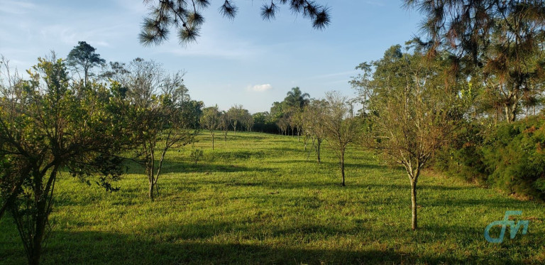 Imagem Imóvel com 4 Quartos à Venda, 36.000 m² em Itapeti - Mogi Das Cruzes