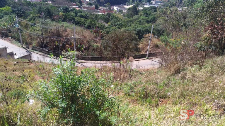Imagem Terreno à Venda, 4.000 m² em Recreio São Jorge - Guarulhos Imagem Terreno à Venda, 4.000 m² em Recreio São Jorge - Guarulhos