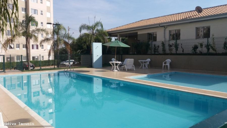 Imagem Imóvel com 2 Quartos à Venda, 45 m² em Parque Yolanda (nova Veneza) - Sumaré