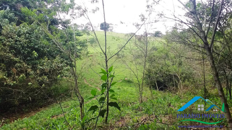 Imagem Chácara à Venda, 7 m² em Centro - Paraisópolis Imagem Chácara à Venda, 7 m² em Centro - Paraisópolis