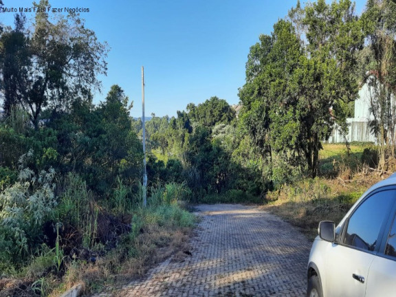 Imagem Terreno à Venda, 362 m² em Pinhal Alto - Nova Petrópolis Imagem Terreno à Venda, 362 m² em Pinhal Alto - Nova Petrópolis
