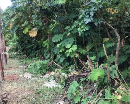 Imagem Imóvel à Venda, 1.000 m² em Chácaras Santa Martha - Várzea Paulista Imagem Imóvel à Venda, 1.000 m² em Chácaras Santa Martha - Várzea Paulista