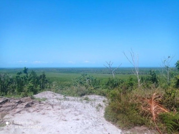 Imagem Fazenda à Venda, 400.000 m² em Ilha De Atalaia - Canavieiras Imagem Fazenda à Venda, 400.000 m² em Ilha De Atalaia - Canavieiras