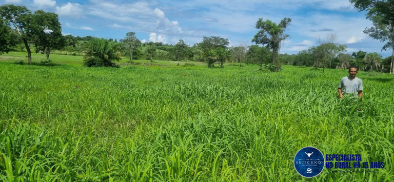 Imagem Fazenda à Venda, 30 m² em Setor Central - Crixás Imagem Fazenda à Venda, 30 m² em Setor Central - Crixás