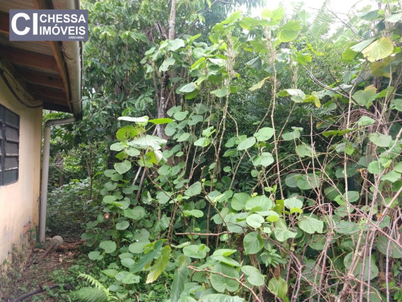 Imagem Terreno à Venda, 880 m² em São Judas - Itajaí Imagem Terreno à Venda, 880 m² em São Judas - Itajaí