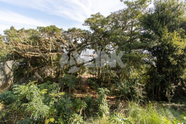 Imagem Imóvel com 3 Quartos à Venda, 427 m² em Vila Conceição - Porto Alegre Imagem Imóvel com 3 Quartos à Venda, 427 m² em Vila Conceição - Porto Alegre