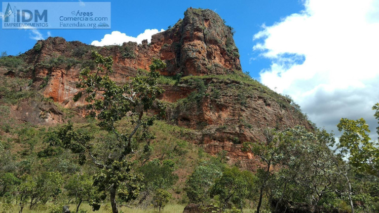 Chácara à Venda, 81.957.700 m² em Centro - Carolina