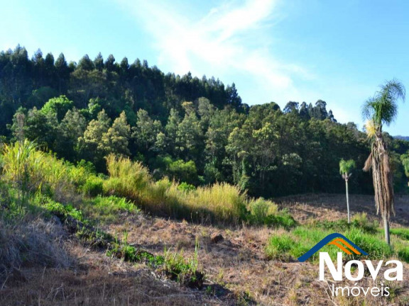 Imagem Imóvel à Venda, em Pinhal Alto - Nova Petrópolis Imagem Imóvel à Venda, em Pinhal Alto - Nova Petrópolis