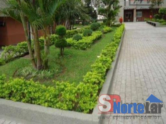 Imagem Apartamento com 3 Quartos à Venda, 87 m² em Freguesia Do O - São Paulo