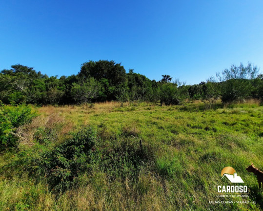 Imagem Imóvel com 4 Quartos à Venda, 120.000 m² em águas Claras - Viamão