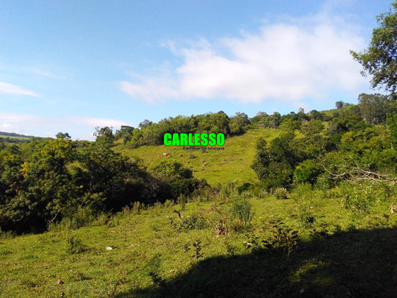 Terreno à Venda, 364 m² em Camobi - Santa Maria
