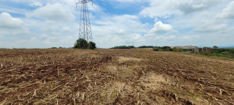 Imagem Imóvel à Venda, 242.000 m² em Centro - Itapetininga Imagem Imóvel à Venda, 242.000 m² em Centro - Itapetininga
