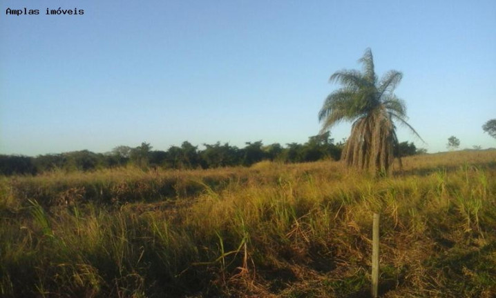 Imagem Fazenda à Venda, 52 m² em Florestal Imagem Fazenda à Venda, 52 m² em Florestal