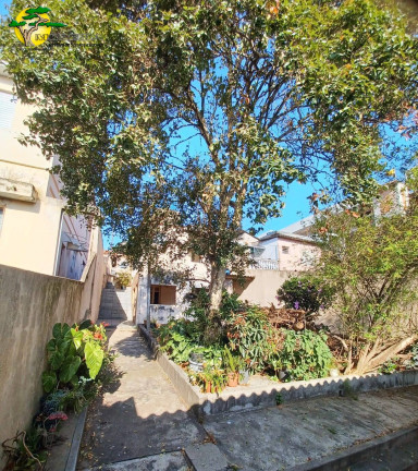 Imagem Casa com 3 Quartos à Venda, 266 m² em Vila Nova Cachoeirinha - São Paulo