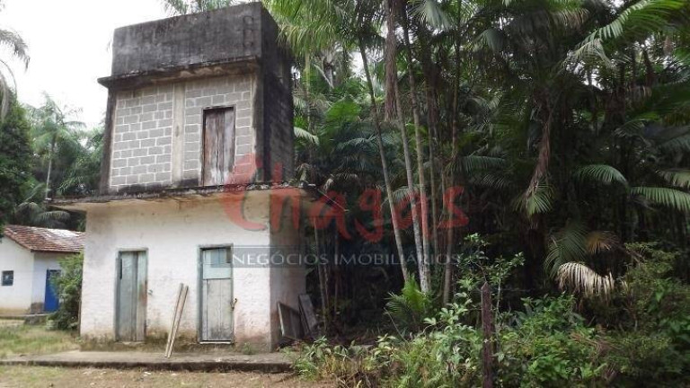 Imagem Terreno à Venda, 39.000 m² em Massaguaçu - Caraguatatuba