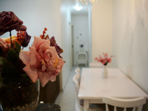 Imagem Apartamento com 2 Quartos à Venda, 58 m² em Vila Guilherme - São Paulo