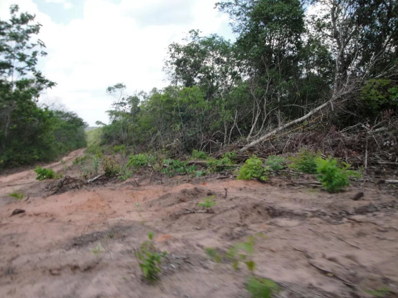Imagem Fazenda à Venda, 500 m² em Zona Rural - Paranatinga