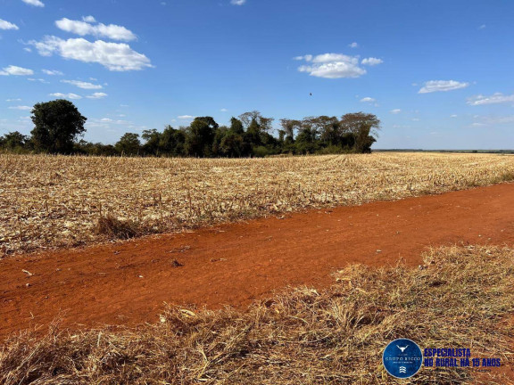 Imagem Fazenda à Venda, 52 m² em Zona Rural - Santa Helena De Goiás Imagem Fazenda à Venda, 52 m² em Zona Rural - Santa Helena De Goiás