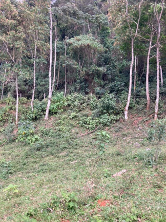 Imagem Terreno à Venda, 84.700 m² em São Domingos - Congonhal Imagem Terreno à Venda, 84.700 m² em São Domingos - Congonhal