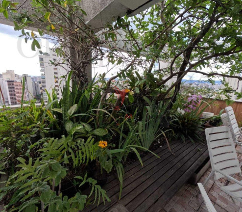 Imagem Apartamento com 4 Quartos à Venda, 330 m² em Higienópolis - São Paulo