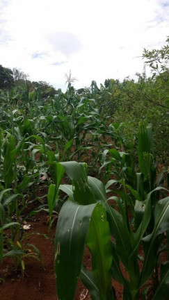 Imagem Imóvel à Venda, 1.400 m² em Boa Vista Dos Silva - Bragança Paulista Imagem Imóvel à Venda, 1.400 m² em Boa Vista Dos Silva - Bragança Paulista