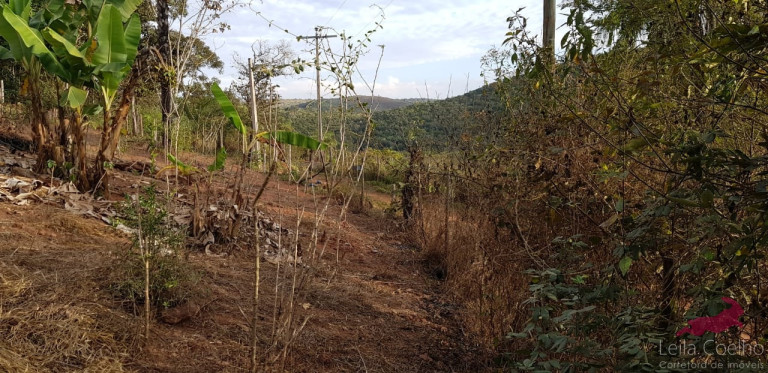 Imagem Chácara com 2 Quartos à Venda, 80 m² em Acuruí - Itabirito