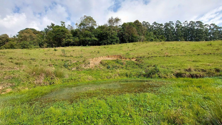 Imagem Imóvel à Venda, 20.000 m² em Zona Rural - Agrolândia Imagem Imóvel à Venda, 20.000 m² em Zona Rural - Agrolândia