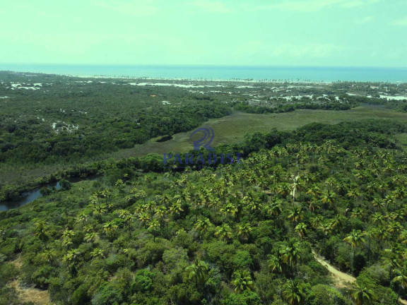 Imagem Terreno à Venda, 6.000 m² em Diogo - Mata De São João Imagem Terreno à Venda, 6.000 m² em Diogo - Mata De São João
