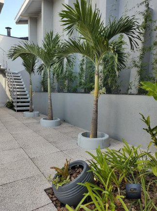 Imagem Casa com 3 Quartos à Venda, 300 m² em Jardim Palmares - Valinhos Imagem Casa com 3 Quartos à Venda, 300 m² em Jardim Palmares - Valinhos