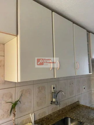 Imagem Apartamento com 2 Quartos à Venda, 55 m² em Jardim Santo André - Santo André Imagem Apartamento com 2 Quartos à Venda, 55 m² em Jardim Santo André - Santo André