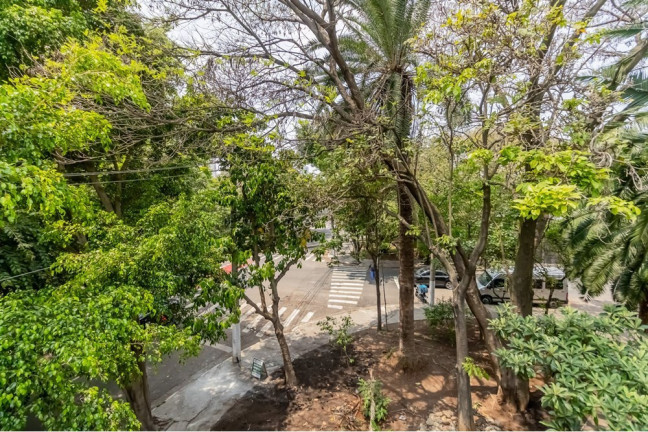 Imagem Casa com 3 Quartos à Venda, 318 m² em Jardim Paulista - São Paulo Imagem Casa com 3 Quartos à Venda, 318 m² em Jardim Paulista - São Paulo
