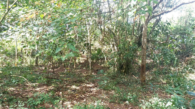 Imagem Chácara com 2 Quartos à Venda, 100 m² em Centro (são Francisco Xavier) - São José Dos Campos