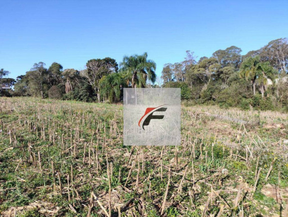 Imagem Terreno à Venda, 15.524 m² em Ganchinho - Curitiba Imagem Terreno à Venda, 15.524 m² em Ganchinho - Curitiba