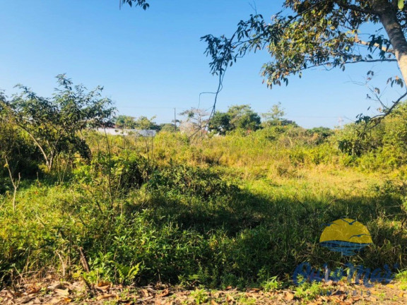 Imagem Terreno para Alugar ou Temporada, 233 m² em Jardim Luizamar Mirim - Itanhaém Imagem Terreno para Alugar ou Temporada, 233 m² em Jardim Luizamar Mirim - Itanhaém