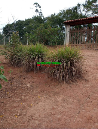 Imagem Chácara à Venda, 2.600 m² em São Damião - Paraibuna Imagem Chácara à Venda, 2.600 m² em São Damião - Paraibuna