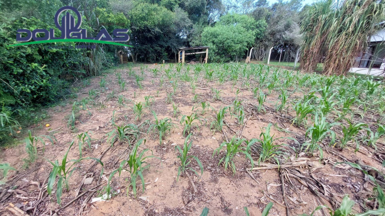 Imagem Terreno à Venda, em águas Claras - Viamão Imagem Terreno à Venda, em águas Claras - Viamão