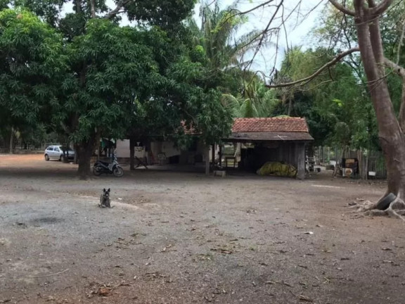 Imagem Fazenda à Venda, 1 m² em Zona Rural - Sinop Imagem Fazenda à Venda, 1 m² em Zona Rural - Sinop