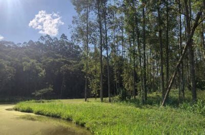 Imagem Fazenda à Venda, 20.000 m² em Pomeranos - Rio Dos Cedros Imagem Fazenda à Venda, 20.000 m² em Pomeranos - Rio Dos Cedros