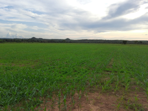 Imagem Imóvel à Venda, em Santa Maria Do Tocantins - Santa Maria Do Tocantins Imagem Imóvel à Venda, em Santa Maria Do Tocantins - Santa Maria Do Tocantins